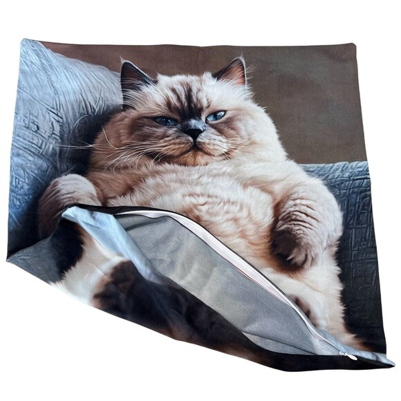 Himalayan Fat Cat Square Cotton Blend Pillow Cover 17x17 Inch Cat Pillow Case - Picture 2 of 6